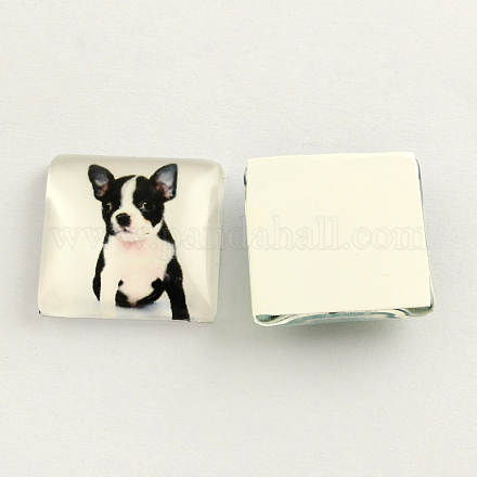 Cabochons carrés en verre du photo de chien / chiot  X-GGLA-S022-30mm-07A-1