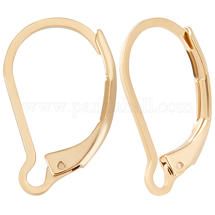 Beebeecraft 1 Box 100Pcs Leverback Earring Hooks 24K Gold Plated French Earring Hooks Earwire Findings 16.5x10mm for DIY Women Earring Making STAS-BBC0001-55G-1