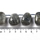 Natur Labradorit Perlen Stränge&nbsp;G-P528-E10-01-4