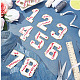 NBEADS 11 Pcs Number Iron on Patches DIY-NB0007-60-5
