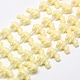 Synthetic Gemstone Coral Beads Strands CORA-L024-01-1