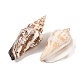 Perle di conchiglia naturali&nbsp;BSHE-O007-57-3