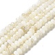Eau douce naturelle de coquillage perles brins BSHE-E026-15B-01-2