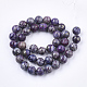 Assembled Natural Bronzite and Synthetic Turquoise Beads Strands X-G-S329-085C-10mm-2