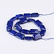 Dyed Rectangle Natural Lapis Lazuli Bead Strands G-F272-01-2
