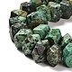 Natural African Turquoise(Jasper) Beads Strands G-N327-05-05-4