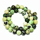 Natural Serpentine Beads Strands X-G-R485-11-10mm-2
