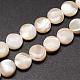Fili di perle di conchiglia trochid naturale / trochus SSHEL-K016-04-1