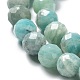 Chapelets de perles en amazonite naturelle G-J400-E11-07AB-4