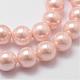 Cuentas perlas de concha de perla BSHE-L025-08-10mm-3