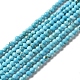 Natürliche Howlith Perlen Stränge G-C025-03B-02-1