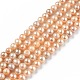 Natural Cultured Freshwater Pearl Beads Strands PEAR-L033-08B-01-1