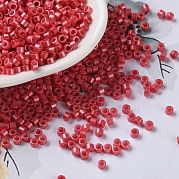 Выпечка краска стеклянные бусины SEED-S042-15A-06