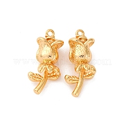 Латунные подвески KK-K382-27A-G