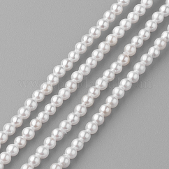 Chapelets de perles de coquille, ronde, blanc, 2mm, Trou: 0.5mm, Environ 190 pcs/chapelet, 15.7 pouce