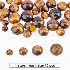 Natürlichen Tigerauge Cabochon&nbsp;G-GA0001-12B