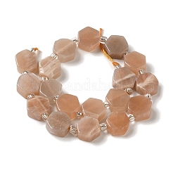 Natürliche sunstone Perlen Stränge&nbsp;G-P534-A09-01