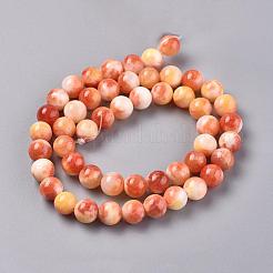 Chapelets de perles en jade persan naturel&nbsp;G-H1625-6mm-PR11