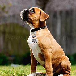 Wewaysmile 2 llavero de perro&nbsp;JX797A