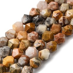 Chapelets de perles en agate fou naturel&nbsp;G-Z119-A13-02