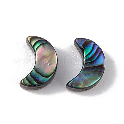 Natürliche Abalone-Muschel / Paua-Muschelperlen&nbsp;SSHEL-M021-05