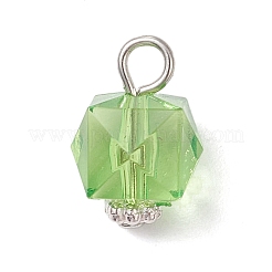 Transparenten Acryl-Anhänger&nbsp;PALLOY-JF04258-02