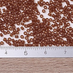 Miyuki Delica Perlen&nbsp;SEED-MY11-DB0764