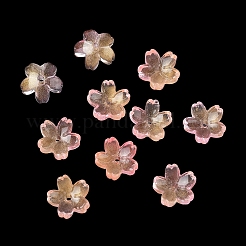 Embouts de perles de verre teints et chauffés&nbsp;GLAA-Z019-03