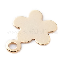 Breloques en laiton&nbsp;KK-Y003-34G