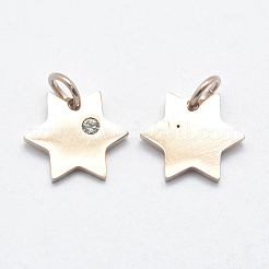 Anhänger aus chirurgischem Edelstahl 316l&nbsp;STAS-J038-02RG