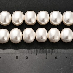 Chapelets de perles de coquille&nbsp;BSHE-F013-01A
