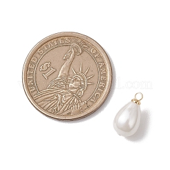 Muschelperlen-Tropfenanhänger&nbsp;PALLOY-JF04859