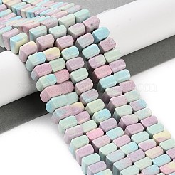 Brins de perles d'agate d'alashan arc-en-ciel naturel&nbsp;G-NH0022-C01-01