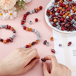 360pcs 6 Arten Handwerksstil Acrylperlen&nbsp;MACR-ME0001-01