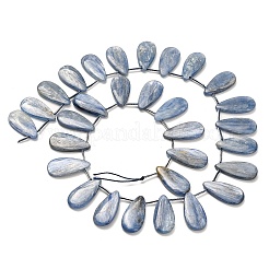 Natürliche kyanite Perlen Stränge&nbsp;G-H335-E01-12x25mm