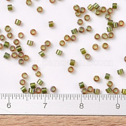 Miyuki Delica Perlen&nbsp;SEED-JP0008-DB1739
