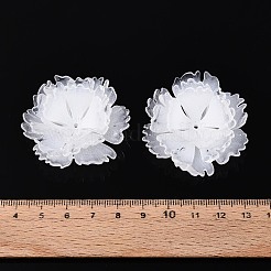 Capuchons de perles en acrylique thermorétractables&nbsp;OACR-N155-02A