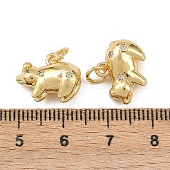 Pendentifs en laiton avec zircone cubique&nbsp;KK-L251-53G