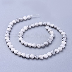 Fili di perline howlite naturale&nbsp;G-L538-023