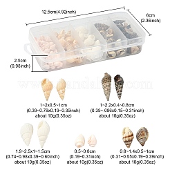 5 Arten gemischte natürliche Muschelperlen&nbsp;SSHEL-YW0001-04