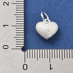 Breloques en 925 argent sterling&nbsp;STER-S009-07A-S