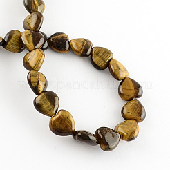 Tigre naturale fili Perle&nbsp;G-R190-20mm-16