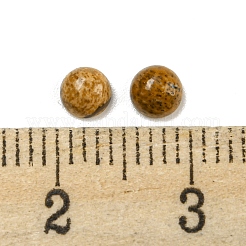 Natur Bildjaspisses cabochons&nbsp;G-H309-03-56
