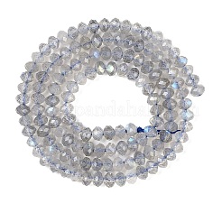 Natur Labradorit Perlen Stränge&nbsp;G-K366-A01-01