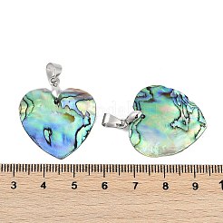 Natürliche Abalone Muschel / Paua Muschel Anhänger&nbsp;SSHEL-M024-01