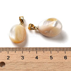 Natürliche gelbe Muschelanhänger&nbsp;SSHEL-H071-06G