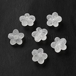 Perles en acrylique transparente&nbsp;OACR-L013-006