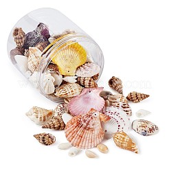 Gemischte Muschelperlen&nbsp;BSHE-TA0002-05