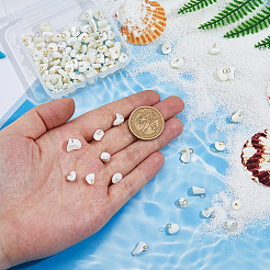 100 Stück 2 Farben natürliche Trochus Muschelnuggets Charms&nbsp;PALLOY-FH00130