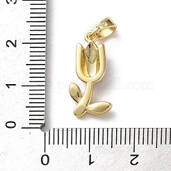 Pendentifs d'émail en laiton &nbsp;KK-P320-06G-02